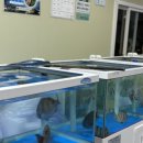 해원수산식당 이미지