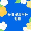 채널원학원