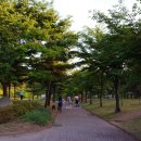 와동체육공원 이미지