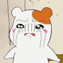 24시해든동물메디컬센터 이미지