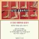 한마합포태권도 네이버블로그