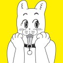 펫페이지 이미지