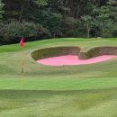 킹스데일골프클럽 이미지