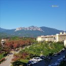 현대카프라자 | 강원 속초 설악프라자CC 1박2일! 카트비 무료 3월 특가 골프 여행