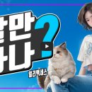 서해PC | 생활 시뮬레이션, 롤 플레잉 게임 인조이 출시일 및 앞서해보기 스팀 가격