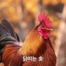 금*경