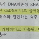 허피스바이러스, 조류바이러스, H1N1 이미지
