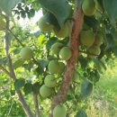 한별농장 이미지