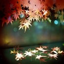 참좋은이웃 이미지