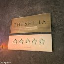 호텔아담한 충북대점 | [중구/숙소] 서울신라호텔 이그제큐티브 그랜드 디럭스 룸 8층 남산뷰 전망 내돈내산 숙박 후기