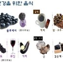 뇌혈관 질환과 치매 (아는 의사와 함께하는 건강토크 1탄)| 이미지