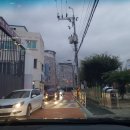 용황초등학교 이미지