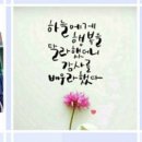 인셀덤주드림