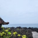 엄광할머니경로당 이미지