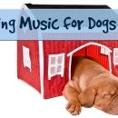 선화로8길 이미지