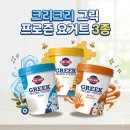 꿀리꿀리 | 요아정 대체 아이스크림?! '크리크리 그릭 프로즌 요거트' 3종 내돈내산 후기 (플레인/허니/솔티드 카라멜)