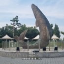 싸리마루 이미지