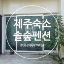 솔숲산 | 제주 동쪽 구좌 애견동반 숙소 추천 가성비 솔숲펜션 내돈내산 솔직후기