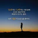 늘찬태권도 이미지