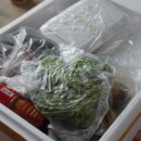 백호상회 이미지