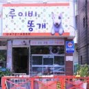 루이비똥 개 애견샵 이미지