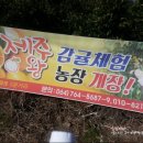 장중은농장 이미지