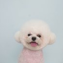 나봄스파 이미지