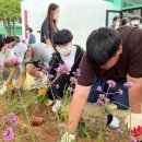 도곡중학교 이미지