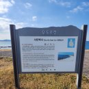 제주 우도 홍조단괴 해빈 | ［제주］우도 여행 서빈백사 홍조단괴 해빈 황우지 해안 선녀탕 12지 동굴