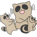 예가안경 이미지