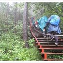 무룡고개~지지터널 이미지