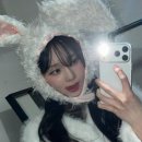윈터 카카오 검색결과