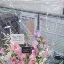 블랑-메이 이미지