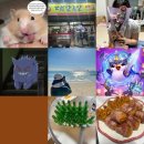 한강켄넬 | 바등깍가엄톱 !