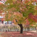 정인각사 이미지