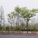 매직 | 나비엔 제습 환기청정기 사용후기 나비엔 매직 인덕션 &amp; 3D 에어후드 연동으로 실내 공기 관리하기!