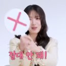 지퍼올려 TV리포트
