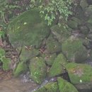 원주굽이길 16코스 매지순환둘레길 이미지