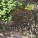 울산대교전망대화장실 이미지