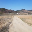 송라면사무소 이미지