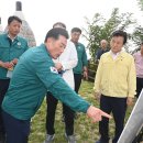 망진산봉수대 이미지