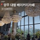 나는카페양주점 | 양주 대형 베이커리카페 :: 오핀베이커리 리뷰, 팥빵부터 커피까지 만족스러웠던 후기