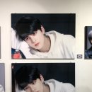 탐나사 이미지