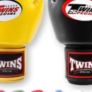 트윈스 MMA 이미지