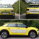 칵투스 아일랜드 이미지