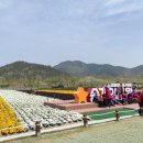 송가인공원 이미지