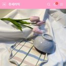 쥬세라믹 이미지