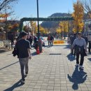 엘오엘테마파크 오마카세뷔페
