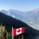 아날로그 키친 (ANALOG KITCHEN) | 밴프 재스퍼 여행기1️⃣ 캐나다 여행 준비물 / 캘거리 여행