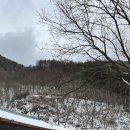 스테이 꿈의대화 이미지